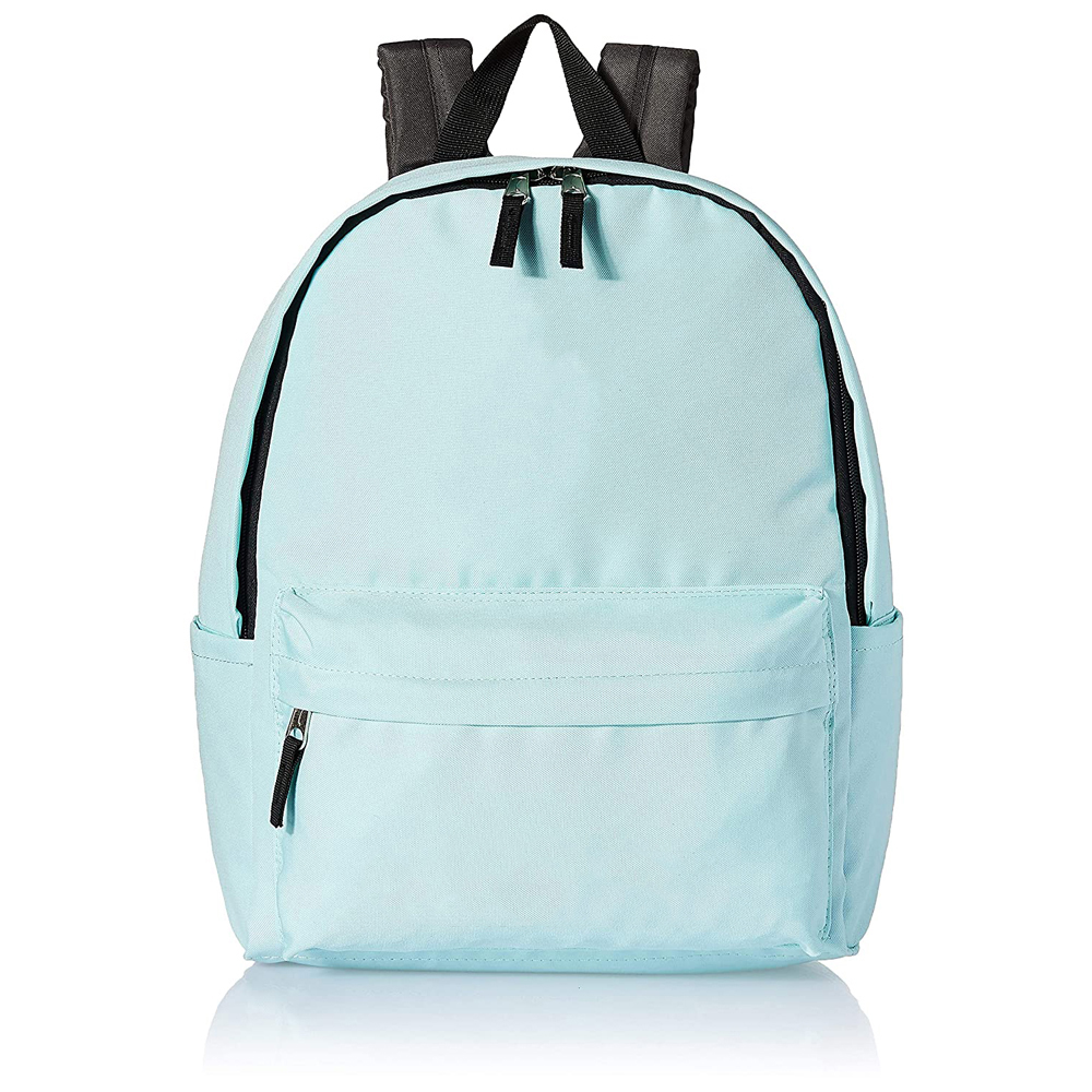 Pacsafe Backpack (Aqua)