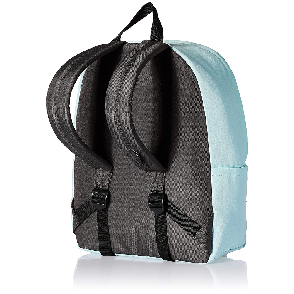 Pacsafe Backpack (Aqua)